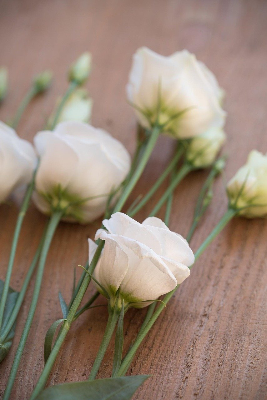 Floristería profesional en Madrid